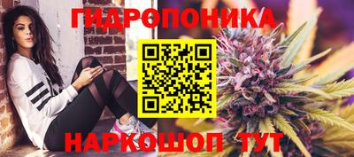 сатива Ликино-Дулёво