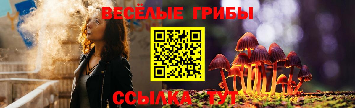 Южно-Сахалинск  Псилоцибиновые грибы ЛСД  Вход с VPN  Галлюциногенные грибы Psilocybe 